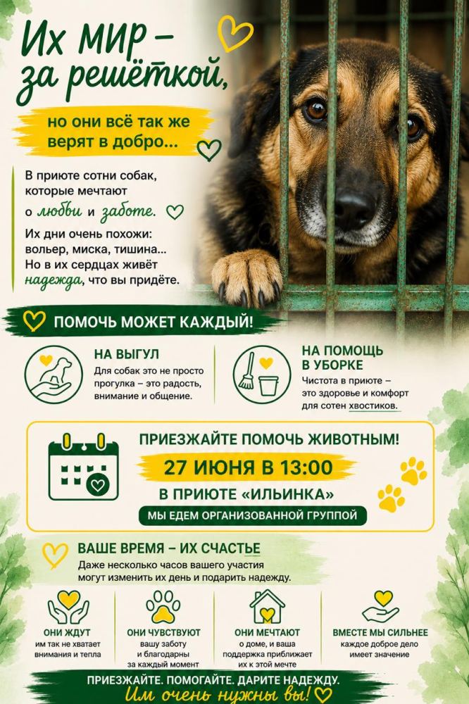 Фото из новости: Друзья, приглашаем активистов 27 июня помочь животным в приюте «Ильинка»!
