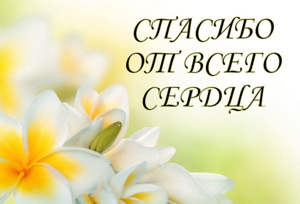 Фото из новости: Красивые фотографии животных способствуют поиску хозяина для животных. Больше фотографий - больше шансов .