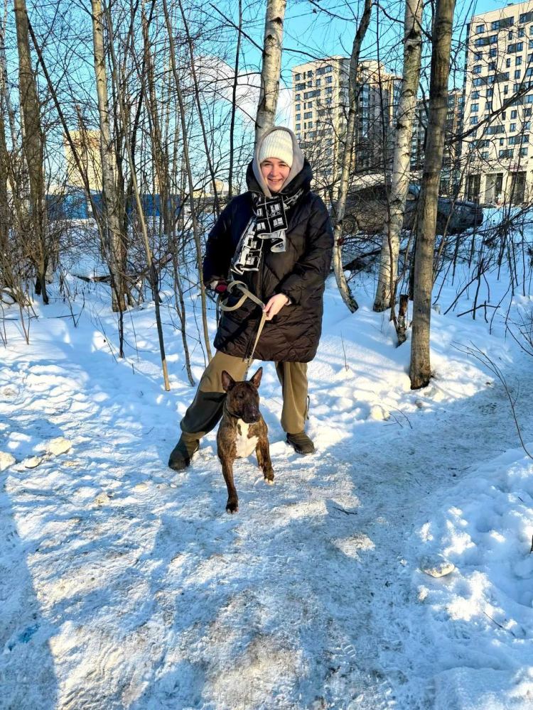 Фото из новости: А вы знали, в каком направлении волонтёрства у нас участвует чеще всего люди