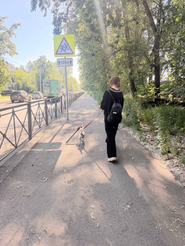 Фото из новости: Все собаки разные. И помощь им тоже нужна разная.