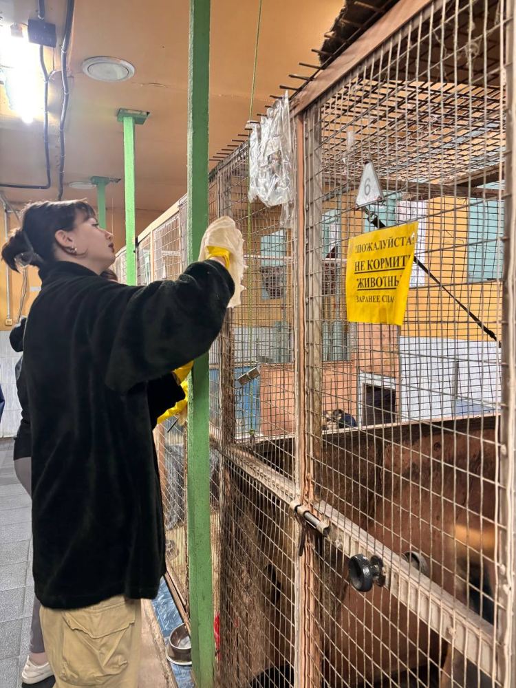Фото из новости: Кармабалл в деле: как мы помогли друзьям из приюта