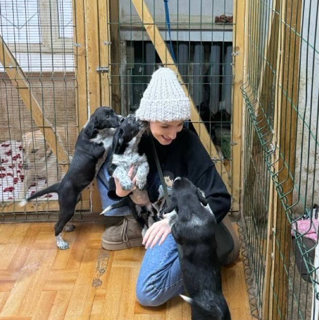 Фото из новости: Мы помогли в приюте для животных