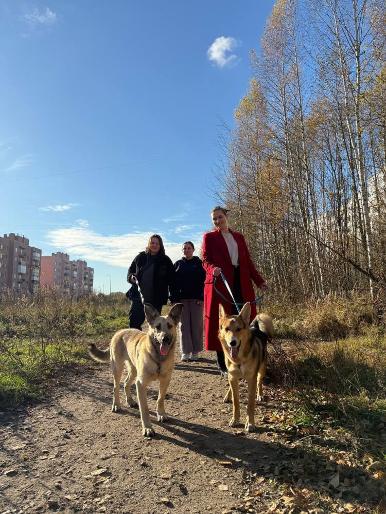 Фото из новости: Кармабалл в деле: как мы помогли друзьям из приюта