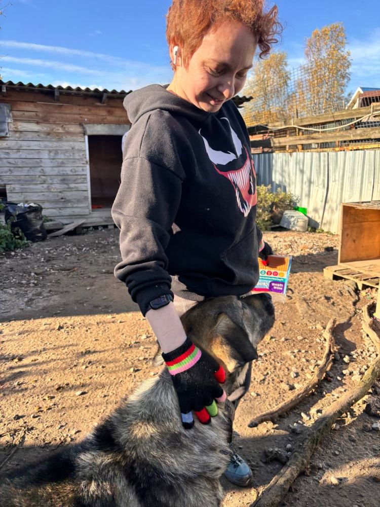 Фото из новости: Кармабалл в деле: как мы помогли друзьям из приюта