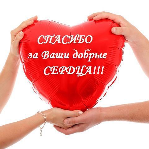 Фото из новости: ✨Вся наша команда детской фотостудии "Сюжетная Линия" Счастлива быть полезной в добрых делах тем, что мы лучше всего умеем и любим делать!!